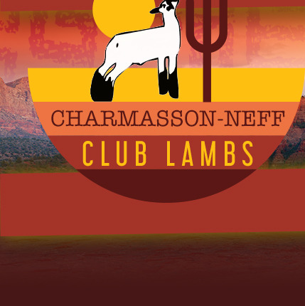 Charmasson-Neff Club Lambs
